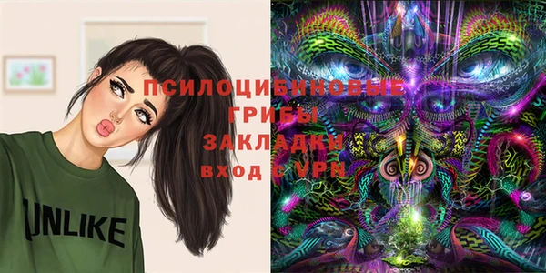 гидропоника Горно-Алтайск