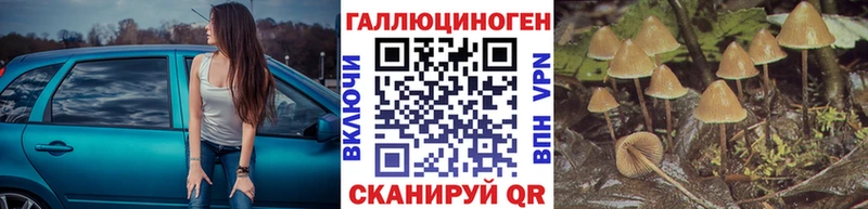 Псилоцибиновые грибы Magic Shrooms  Меленки 