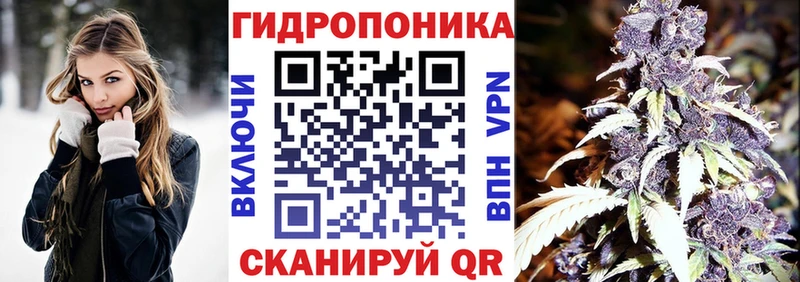 Шишки марихуана White Widow  купить  цена  Меленки 
